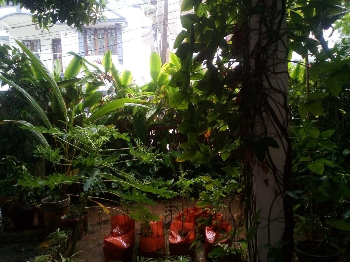 بيت عطلات ناتان، برايفت فيلا Kochi المظهر الخارجي الصورة
